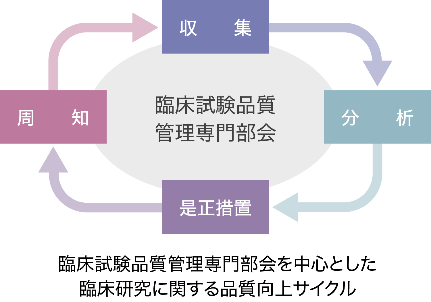 図:臨床試験品質管理専門部会