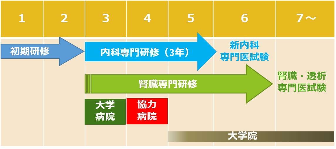 研修医1.jpg