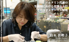 
                                グルタミン代謝の生体内における役割およびその分子メカニズム解明