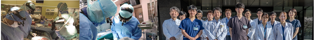 ページタイトル画像