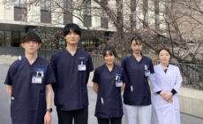 スタッフの出身校