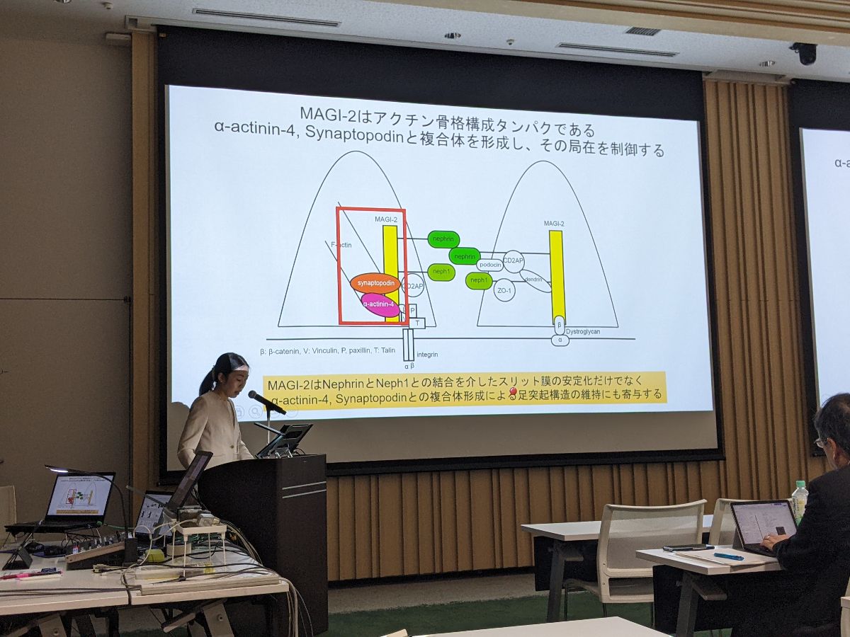 過去の年次大会