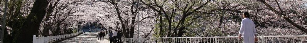 ページタイトル画像