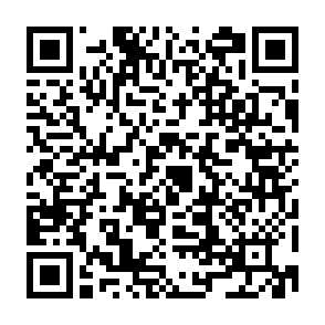 QR_426855.png