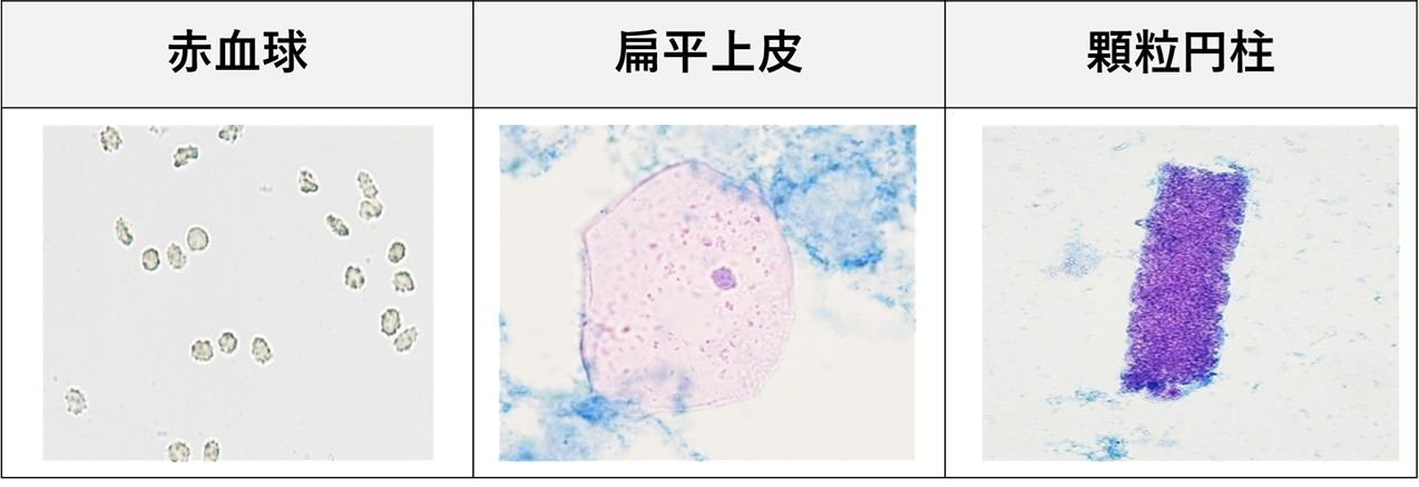 一般①.jpg