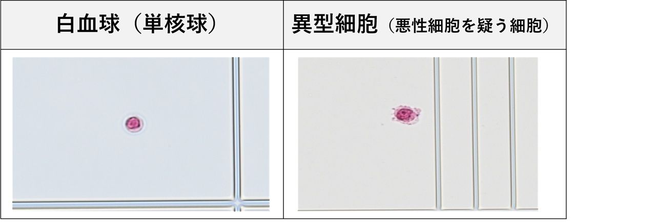 一般②.jpg