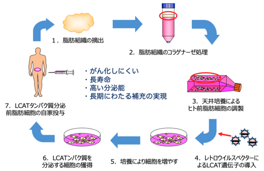 治療法スキーム230907.png