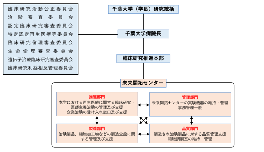 OrganaizationStructure.png