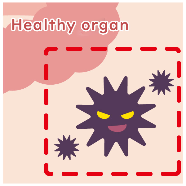 Healthy organ