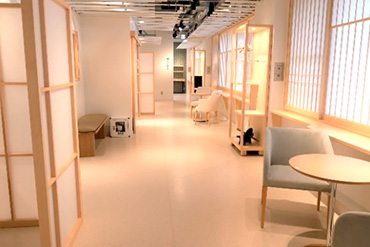写真:千葉大学墨田漢方研究所
