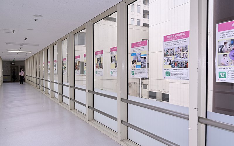 写真: