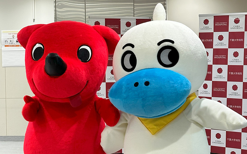 写真: