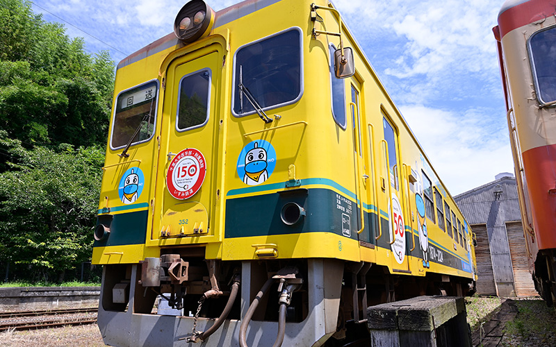 写真: