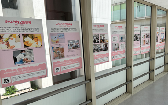 写真：