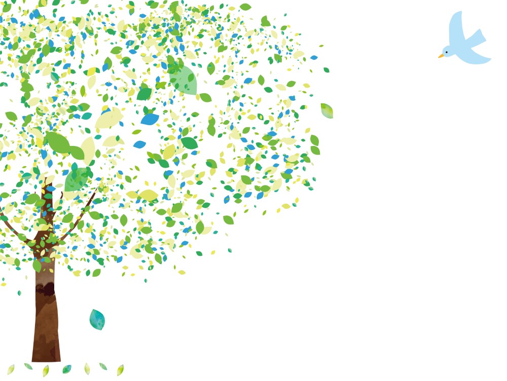 footer image
