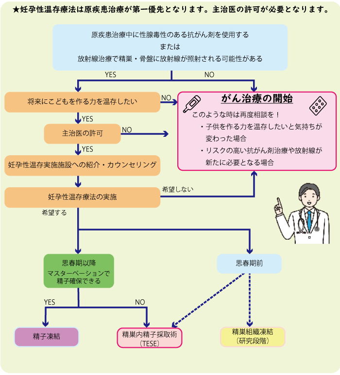 妊孕性温存療法を考える上でのアルゴリズム