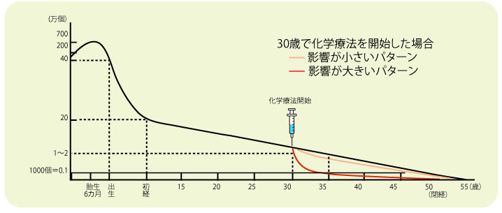 経年的変化による卵胞数の減少と化学療法の影響