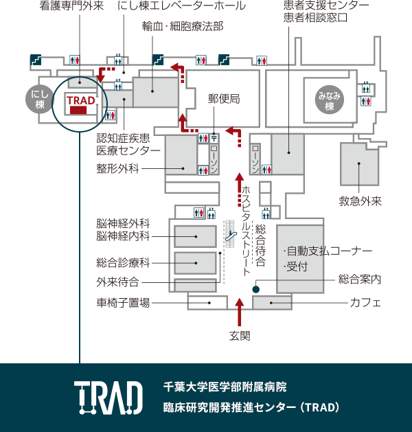千葉大学医学部附属病院臨床試験部 特定臨床研究推進室（TRAD）のアクセスマップ
