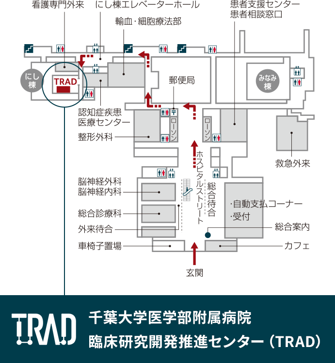 千葉大学医学部附属病院臨床試験部 特定臨床研究推進室（TRAD）のアクセスマップ